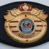 WKF MMA World champion belt